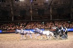 Extreme - 00952